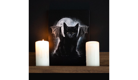 Bat Cat Canvas Plaque by Spiral Direct