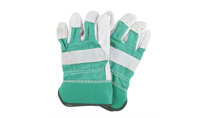 Gardener of the Year Mug and Glove Set